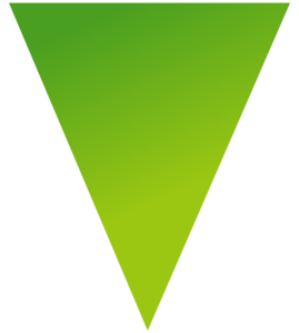 logo advanced agency